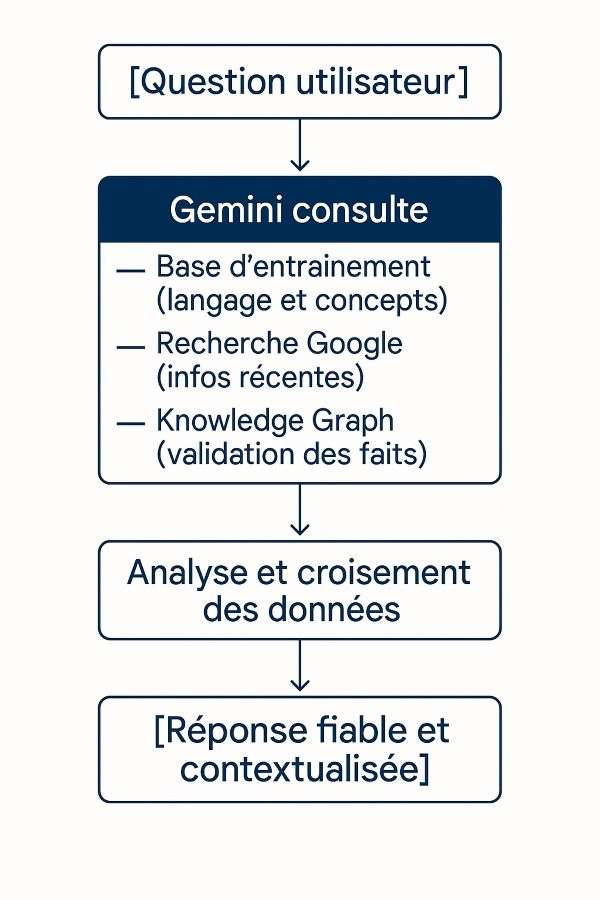 schéma explicatif de Gemini consulte